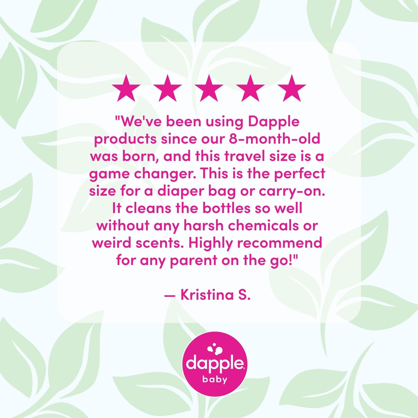 Dapple Baby Bottle Soap, Hypoallergenic Dish Soap for Baby Bottles