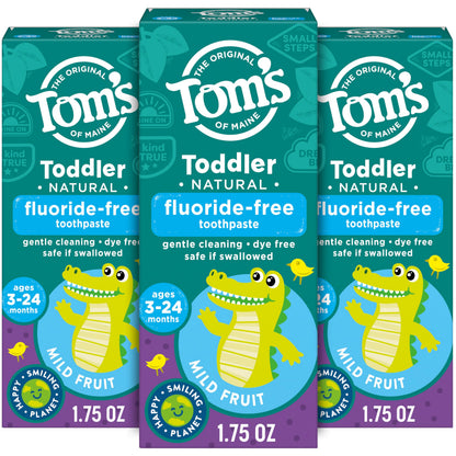 Toddler Fluoride-Free Toothpaste Mild Fruit 3-Pack